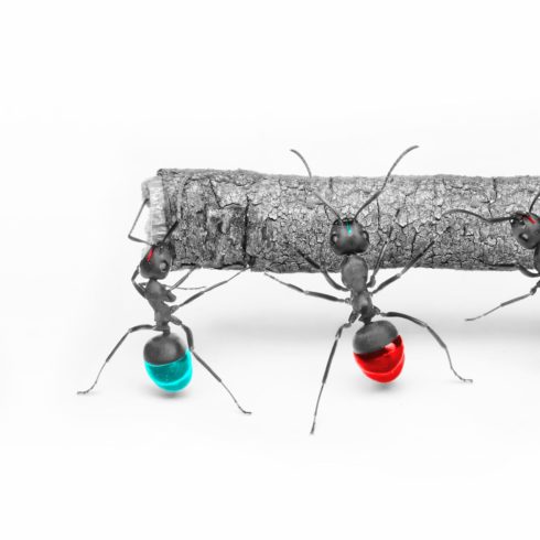 data-factory-img data-factory-img